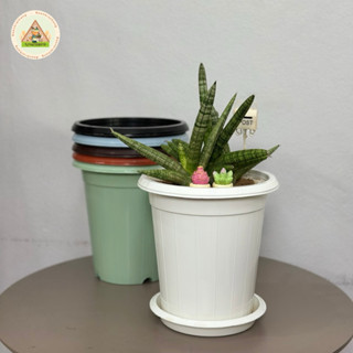 กระถางกลมทรงสูง 7นิ้ว พร้อมจานรอง กระถางพลาสติก