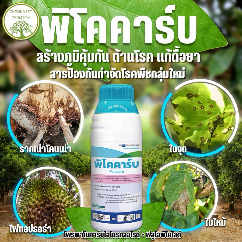 พิโคคาร์บ ขนาด 1ลิตรโพรพาโมคาร์บไฮโดรคลอไรด์+ฟลูโอพิโคไลด์ สารกลุ่มใหม่กำจัดโรคพืช💦โคนเน่า ราชั้นต่ำ