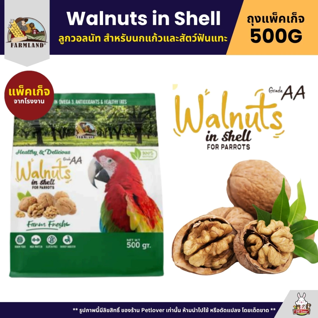 Farmland Walnuts in Shell ลูกวอลนัท สำหรับนกแก้วและสัตว์ฟันแทะ (แพ็คเก็จ 500G)