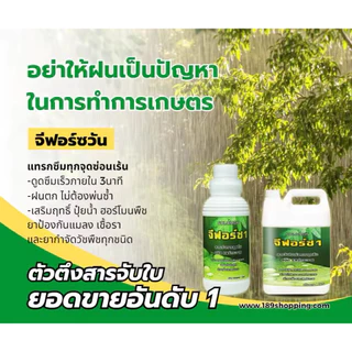 จีฟอร์ซวัน (แกลอน4ลิตร) สารจับใบ เร่งการดูดซึม จับใบ ไม่มีแอลกอฮอล์ ไม่ทำร้ายใบพืช
