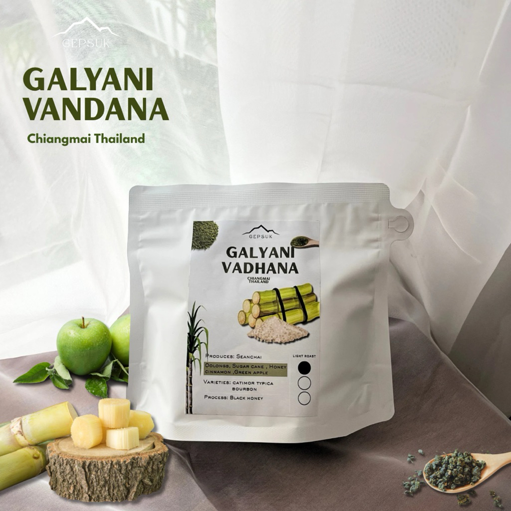 โรงคั่ว เก็บสุข เมล็ดกาแฟคั่วอ่อน - Galyanivad hana Thailand