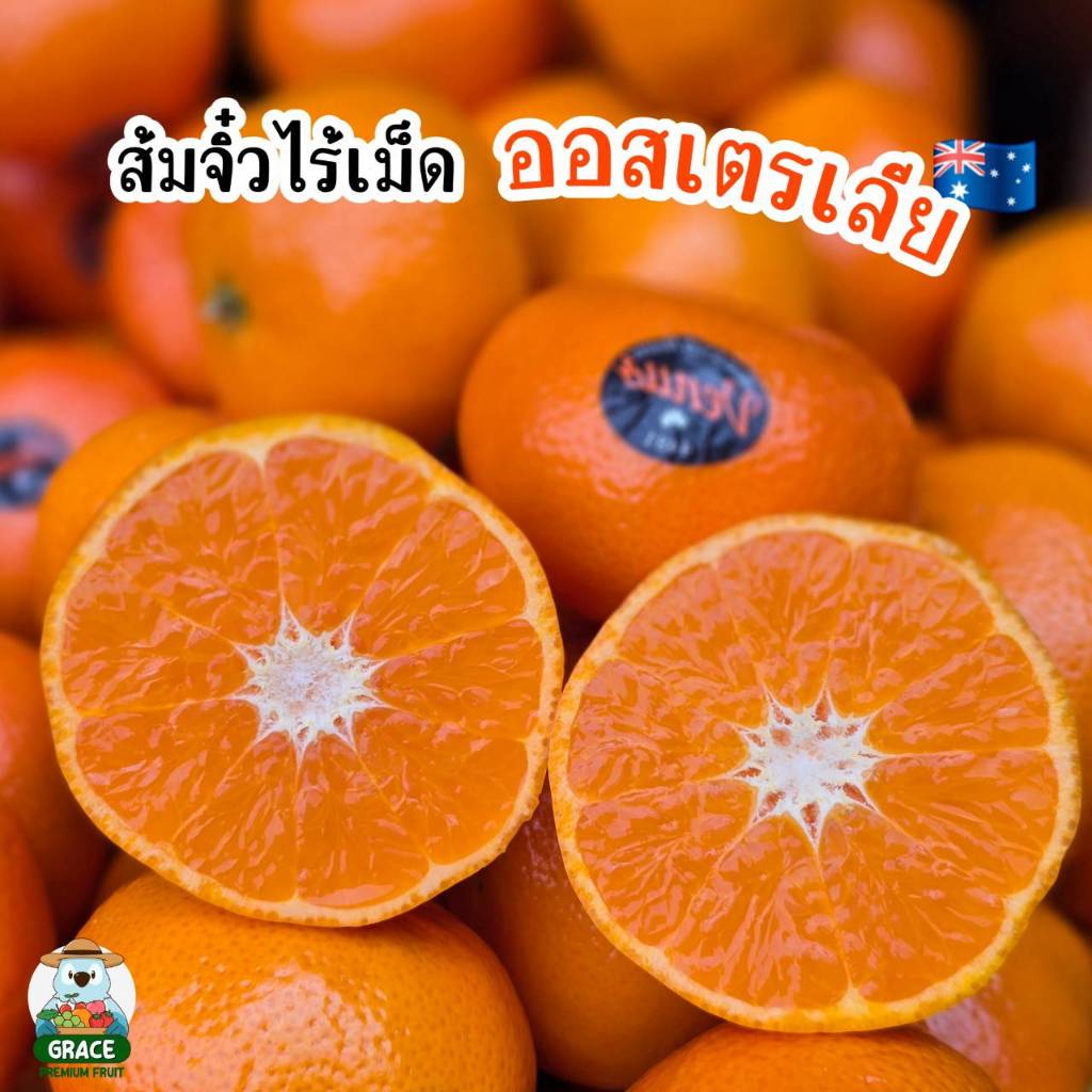 ส้มแมนดารินจิ๋ว ไร้เมล็ด ออสเตรเลีย พรีเมี่ยม
