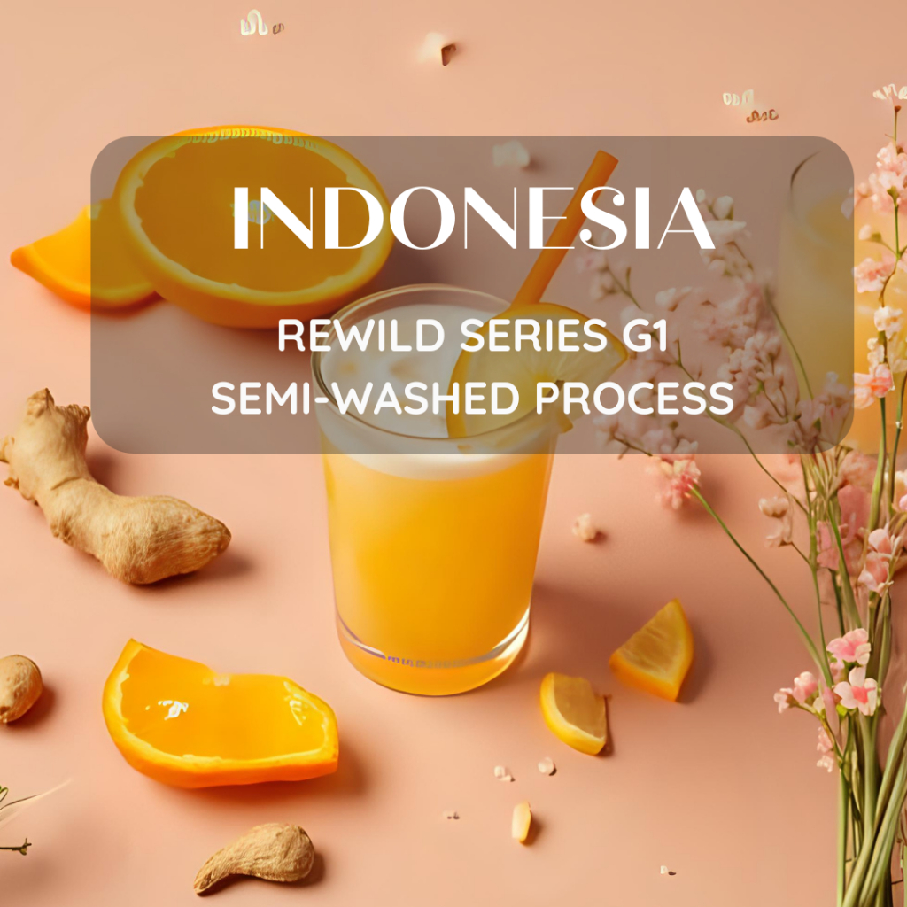 สารเมล็ดกาแฟ  Indonesia Rewild Series G1 Semi-Washed Process 2025