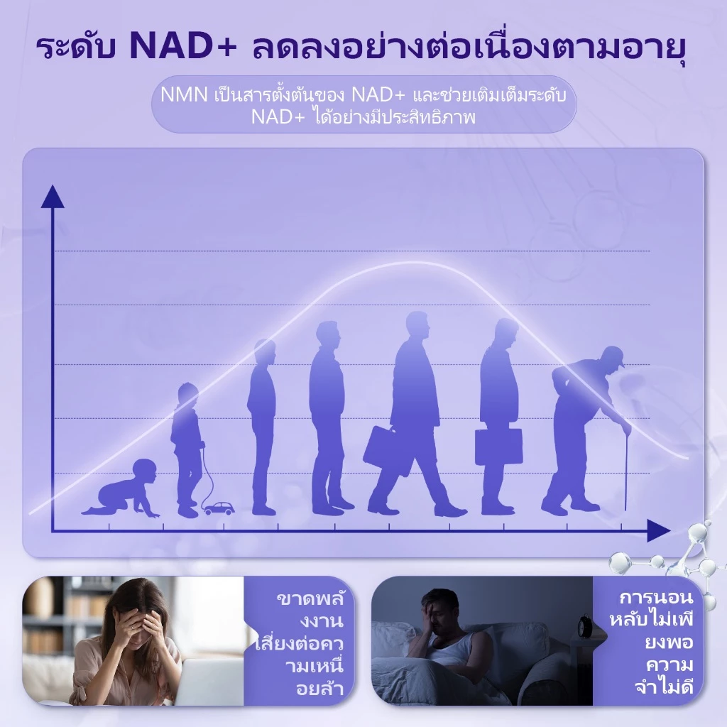Wellcatcher NMNREV500 ผลิตภัณฑ์เสริมอาหาร thumbnail 3