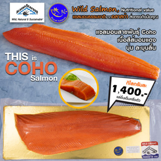 เนื้อปลาแซลมอน แล่ชิ้นแบบเต็มครึ่งตัว นำเข้าจากอลาสก้า สายพั…
