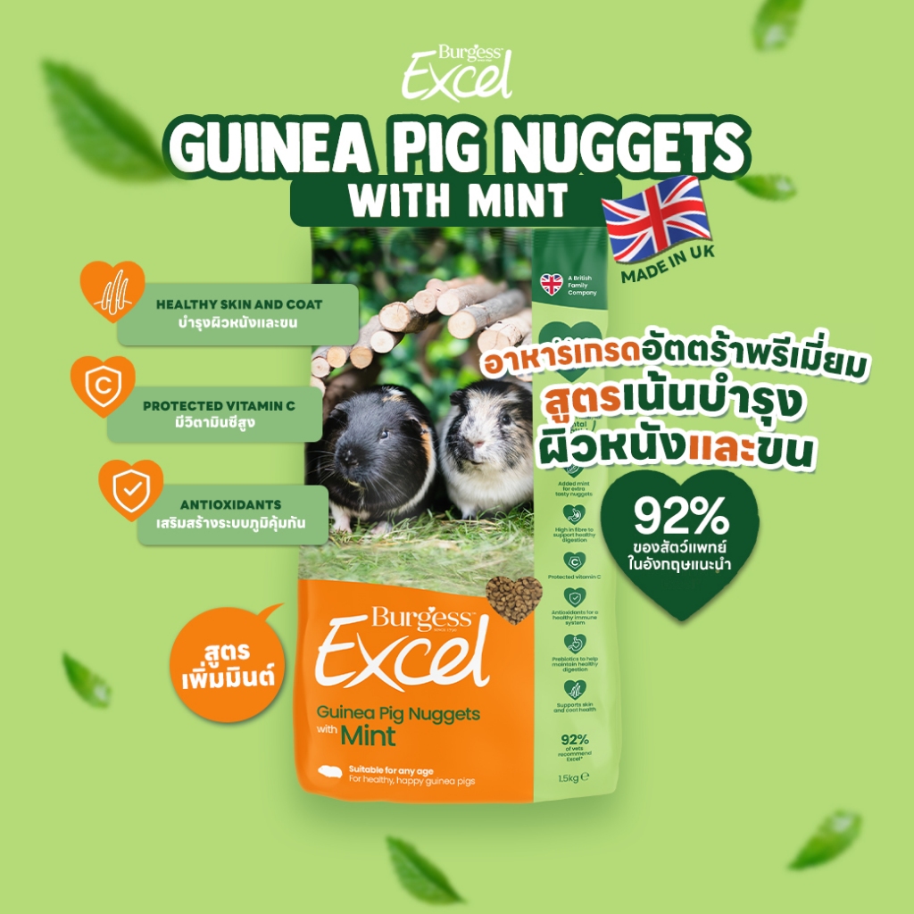 อาหารแกสบีพรีเมี่ยม 🇬🇧 Burgess Excel Guinea Pig Nuggets | ไฟเบอร์สูง ช่วยระบบย่อยอาหาร
