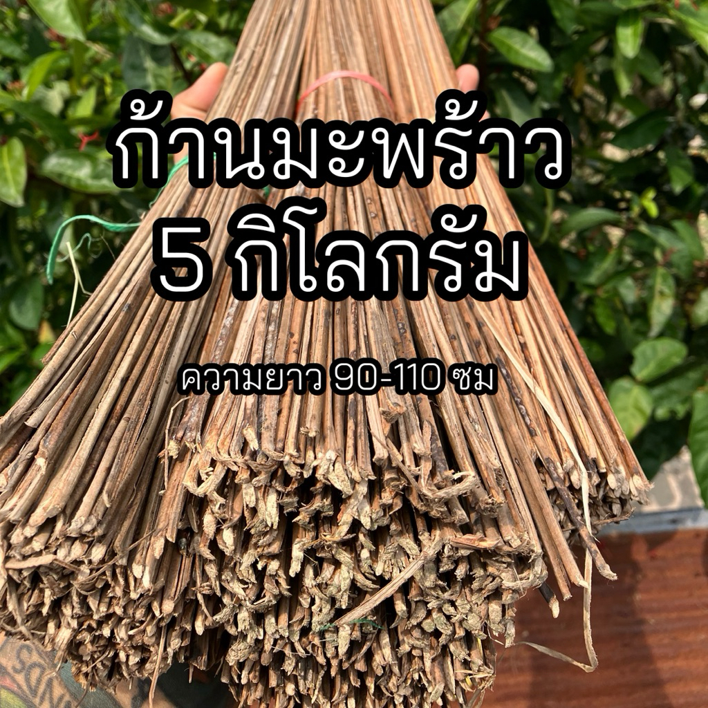ก้านมะพร้าว 5 กิโล (5kg) คัดเกรด A พร้อมใช้งาน | ทำไม้กวาด