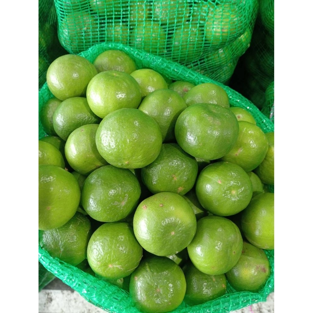 [ขนาดใหญ่/เบอร์จัมโบ้ 400]อาโป มะนาวแป้นบ้านเเพ้วแท้ สวยๆคัดเกรด ผิวสวย เปลือกบาง น้ำเยอะ