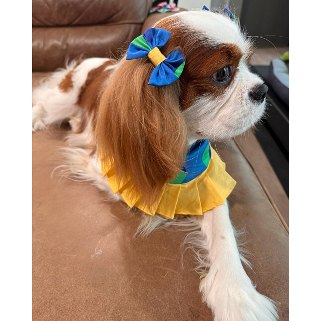 Pups&Pals Pet BIB ผ้าพันคอ กันเปื้อน จับคู่กิ๊บลายเดียวกัน