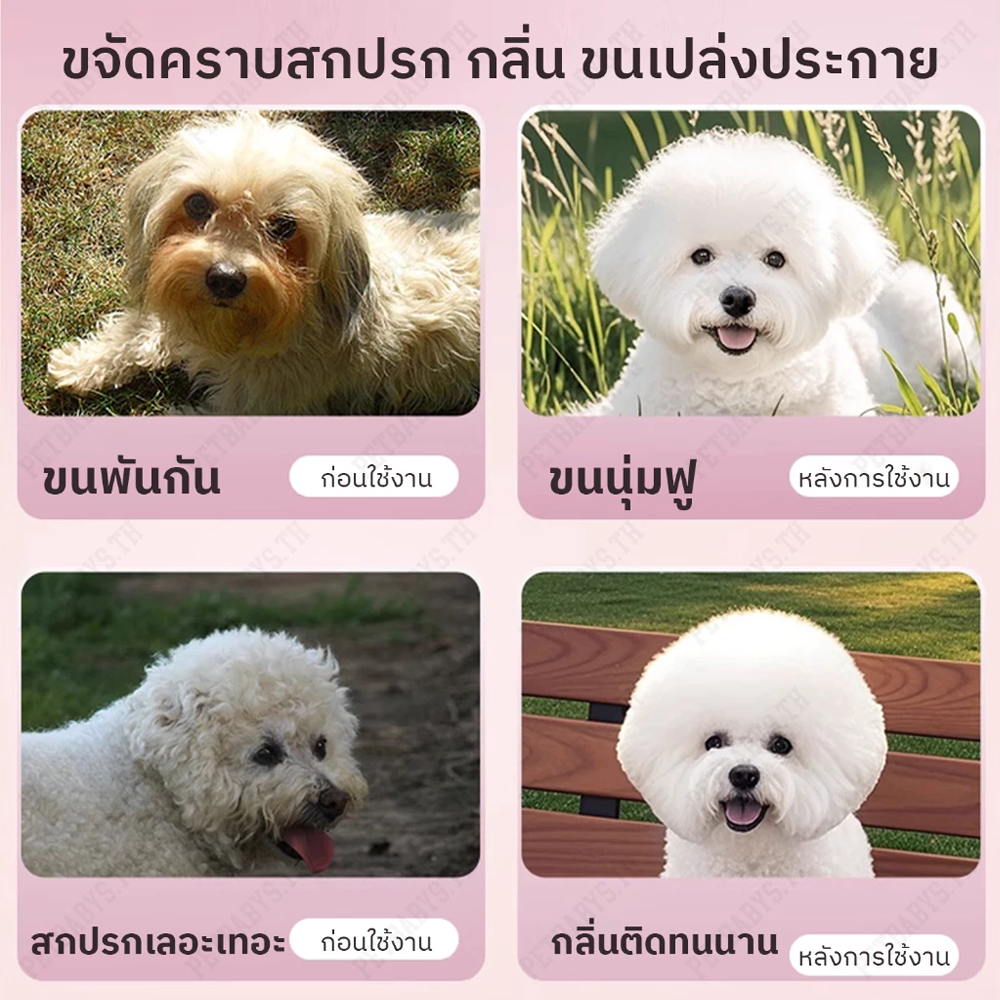 PETLUSCI โฟมอาบน้ำแห้งสัตว์เลี้ยง 500ML  แชมพูแมว สบู่อาบน้ําหมา เลียขนได้ อ่อนโยน โฟมอาบน้ำแห้ง - รูปที่ 4