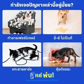 yoyopet : yoyopet : สเปรย์กันฉี่ สเปรย์ไล่หมา แมว 500ml ปรับพฤติกรรมสัตว์เลี้ยง กันกัด แทะ ใช้ได้ทั้งสุนัขและแมว