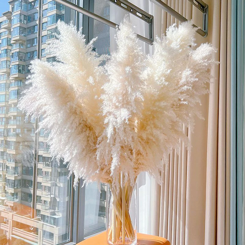 ✨ 100cm แห้งพืชกกขนาดใหญ่ INS ลมดอกไม้จริงห้องนั่งเล่นห้องนอนห้องโถงตกแต่งโดยไม่ต้องดูแล