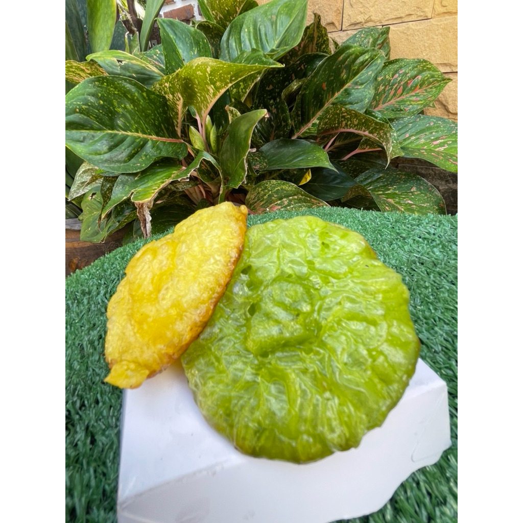 แป้งขนมฝักบัวโบราณ ใบเตย (แบบนุ่ม)สูตร3 ผสมน้ำเปล่า ขนาด 10 กิโลกรัม ราคา ถูกที่สุด ดีลบีเคเค แกลเลอรีภาพที่ 2
