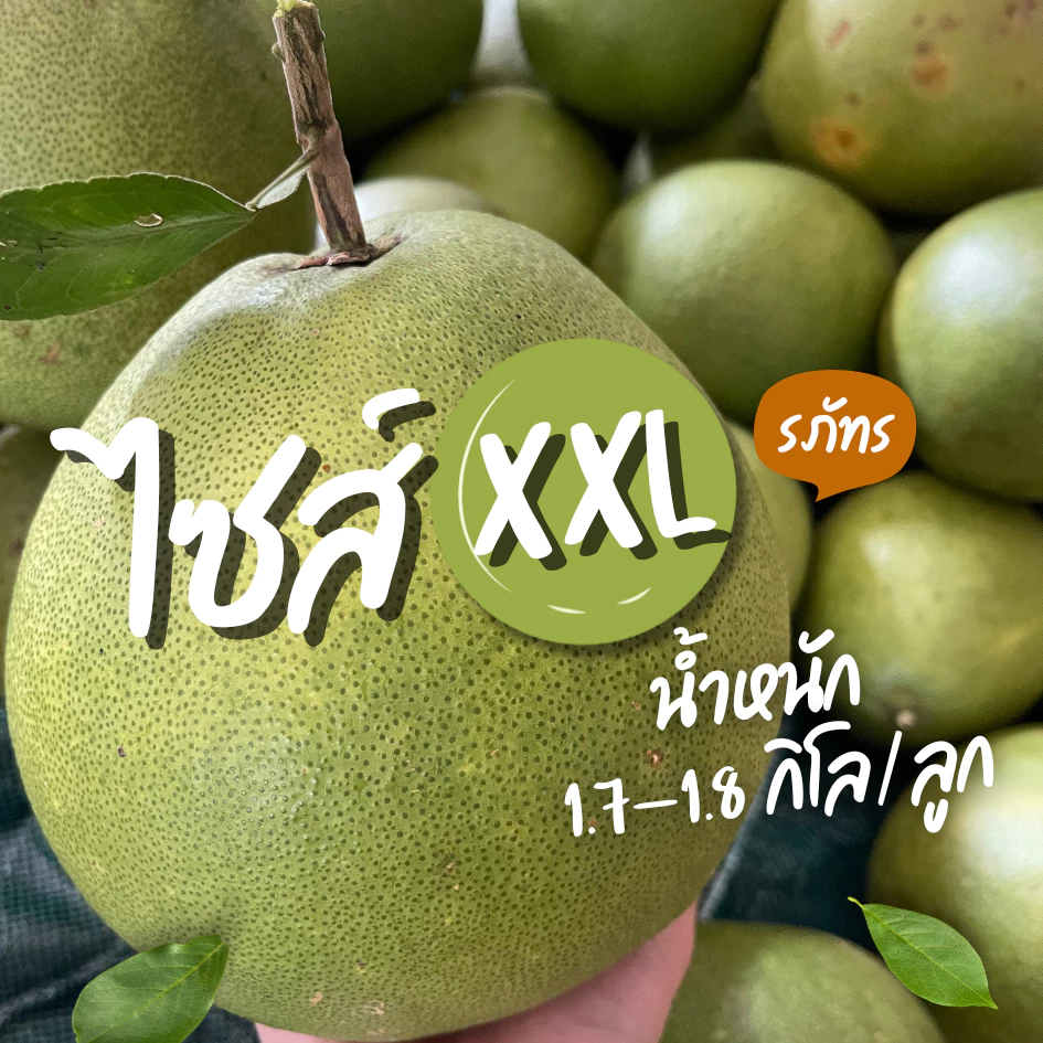 ส้มโอขาวใหญ่อัมพวา ไซส์ 2XL ขนาด 1.7-1.8 kg/ลูก