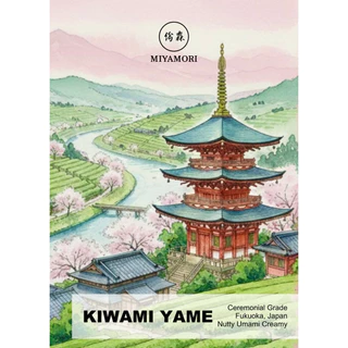 (MIYAMORI) มัทฉะ โทนถั่ว KIWAMI Yame Matcha Ceremonial Grade มัทฉะเกรดพิธีการ