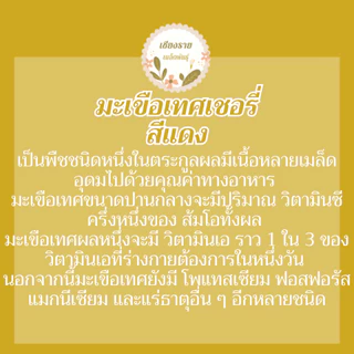 เมล็ดพันธุ์ มะเขือเทศเชอรี่ 15 เมล็ด Lycopersicon esculentum เมล็ดพันธุ์แท้ นำเข้าจากต่างประเทศ ปลูกผัก สวนครัว