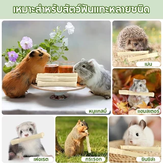 ไผ่หวาน Sweet Bamboo 500g ขนมลับฟัน ธรรมชาติ สำหรับ กระต่าย เม่นแคระ หนูแฮมเตอร์ และสัตว์ฟันแทะอื่น