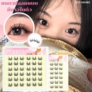 อัพเกรดใหม่】🌟พร้อมส่ง🌟 ขนตาปลอมแบบมีกาวในตัว ขนตาแบบมีกาวในต…