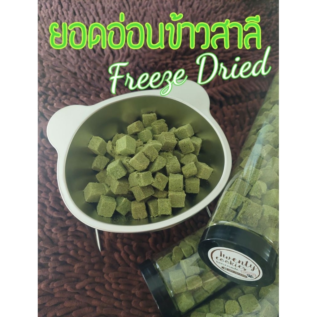 ยอดอ่อนข้าวสาลี Freeze Dried ทานได้ทั้งน้องหมาและน้องแมว