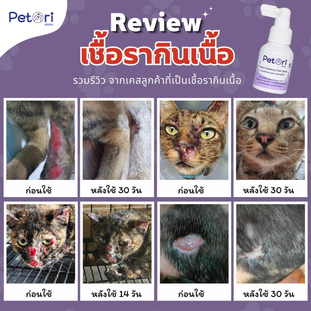 รูปภาพ 2