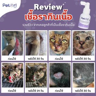 [[แผลแห้งเร็วมาก]] Petori ขนาด 50 ml สเปรย์พ่นแผลสด แผลหนอง เชื้อรา คัน เกา ผื่นแดง หมาแมวExoticPet