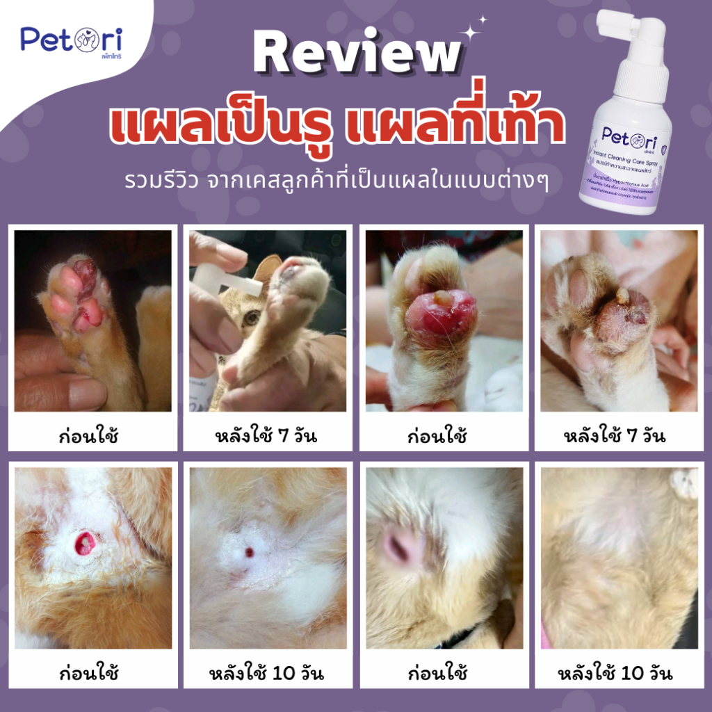 รูปภาพ 4