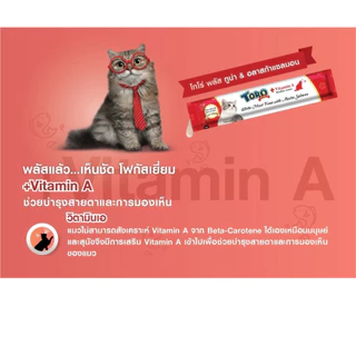 (แพ็ค25)Toro plus ขนมแมวเลียแพ็คใหญ่ ขนาดบรรจุ 25 ซอง หมดอายุ 12/2027