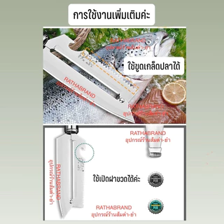 A0034/มีดปลายแหลม สแตนเลส สับ-ฝาน มะละกอ2คม(ถนัดขวา) มีดปอกผลไม้ มีดสับมะละกอเส้นสวย มีดสองคม มีดสองคมสแตนเลส มีดปอก