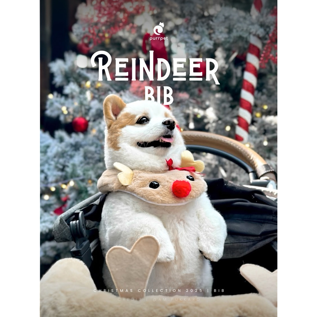 Bib สโนว์แมน (ไฟกระพริบ) - Christmas Collection Purrpet