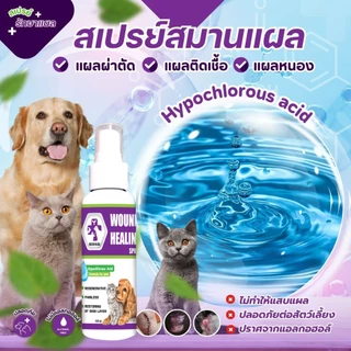 AEXHUQ สเปรย์นาโน พ่นแผลสุนัข-แมว ฟื้นฟูเร็ว สำหรับสัตว์เลี้ยง 100 ml.
