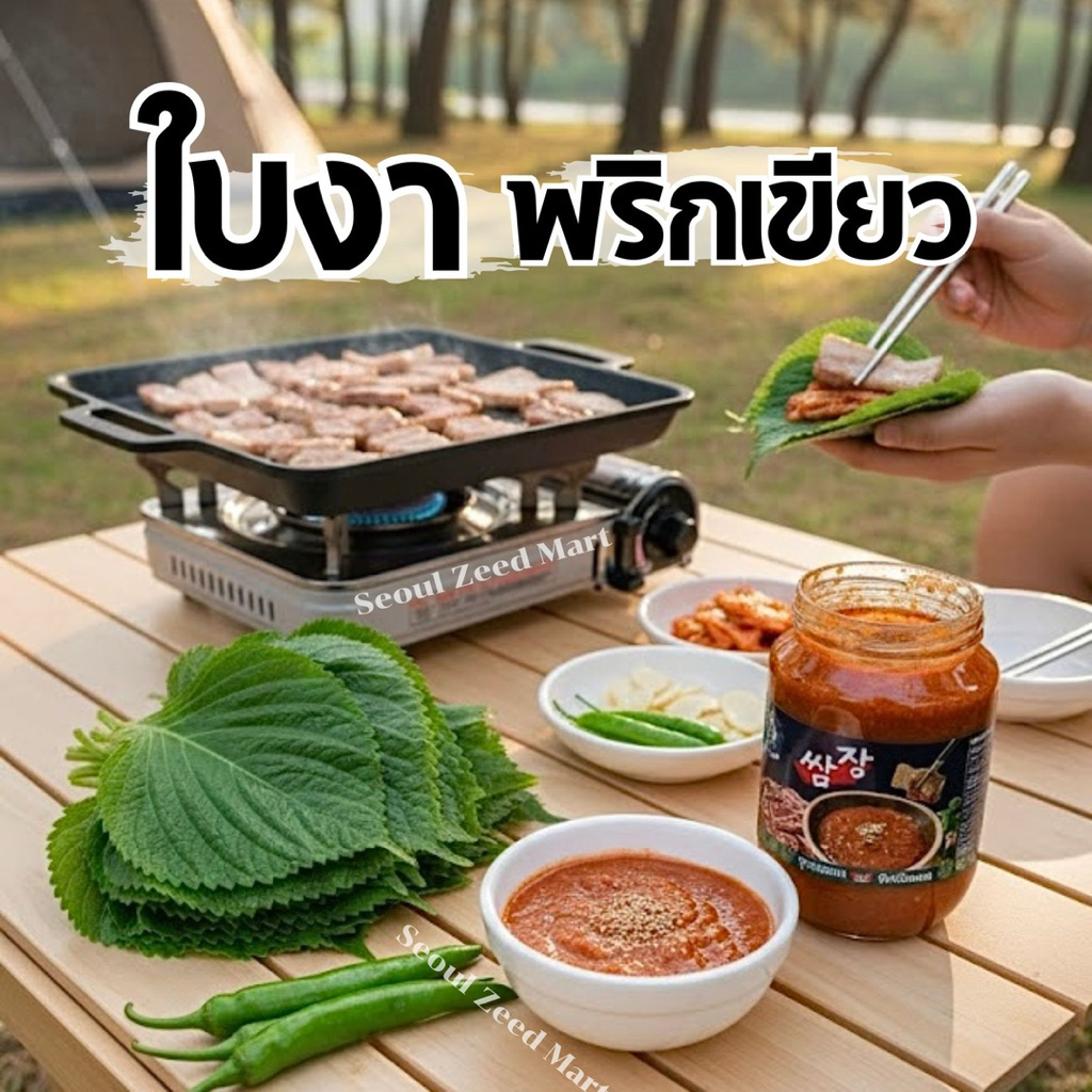 ใบงาเกาหลี 100ใบแถม 20 ใบ มีส่งด่วน 🛵/ พริกเขียวกินกับหมูย่าง