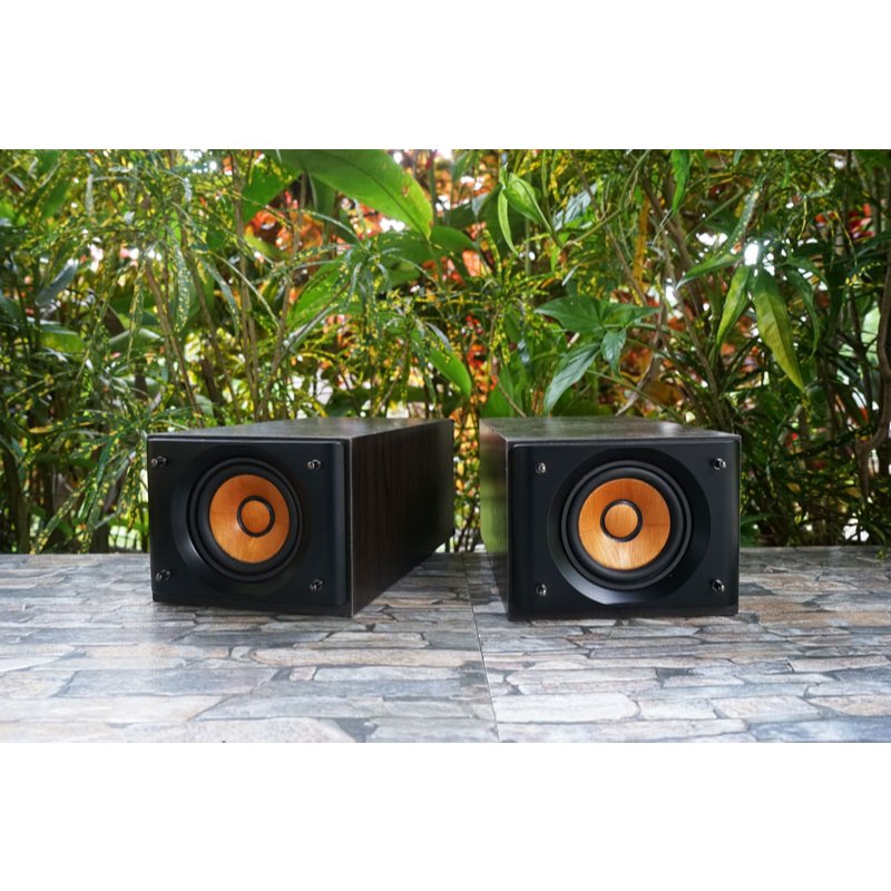 ลำโพงบุคเชล JVC SP-EXS5 กรวยไม้แท้