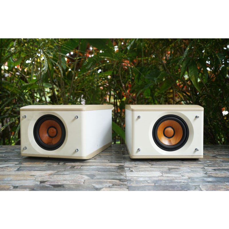 ลำโพง JVC-SP-EXS1-M กรวยไม้ (ตู้ขาว) -เล็กพริกขี้หนู