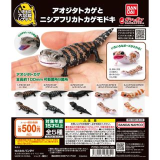 Gashapon Bandai Ikimono Encyclopedia Repti Blue Tongued Skin…