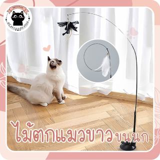 🌵 ไม้ตกแมวขาวขนนก ของเล่นแมว ไม้ตกแมว ไม้ตกแมวแบบสปริง ไม้แหย่แมว ขนนกแมว ขนไก่แมว 🌵
