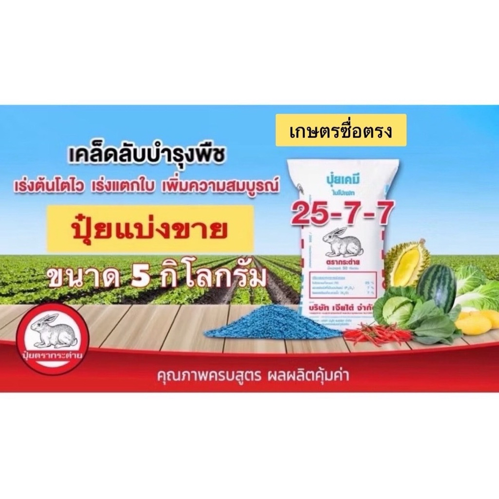 ปุ๋ยตรากระต่าย สูตร 25-7-7 เม็ดสีฟ้า แบ่งขาย 5 กิโลกรัม  เร่งให้โตไว ใบงาม รากแข็งแรง