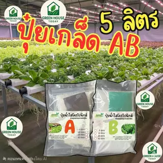 ปุ๋ย AB ปุ๋ยไฮโดรโปนิกส์ ปุ๋ยเอบี ขนาด(**5 ลิตร**)(*10 ลิตร**) ปุ๋ยผักสลัด ใช้ได้ทั้งระบบน้ำนิ่ง และ น้ำวน