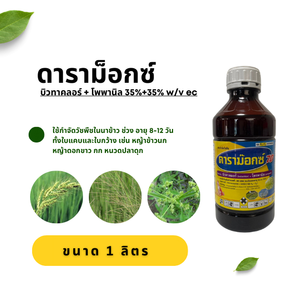 ดาราม็อคซ์ กำจัหญ้าในนาข้าว อายุ 8-12 วัน ขนาด 1 ลิตร