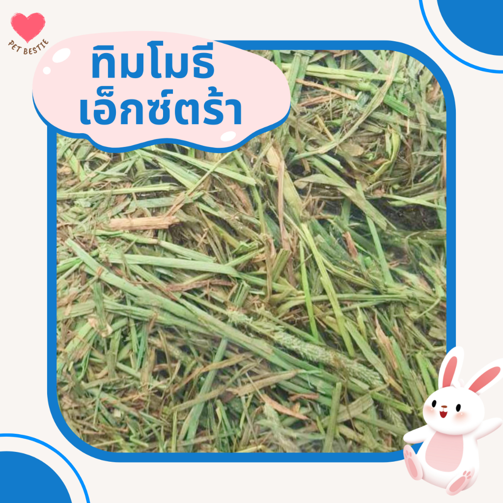 ถุงใหญ่ หญ้าทิมโมธีพรีเมียมล็อตใหม่สุดร่อนฝุ่น 4 กก.| เกรด Super Premium Plus+ เขียวมาก ใบดอกเยอะ รูปที่ 3