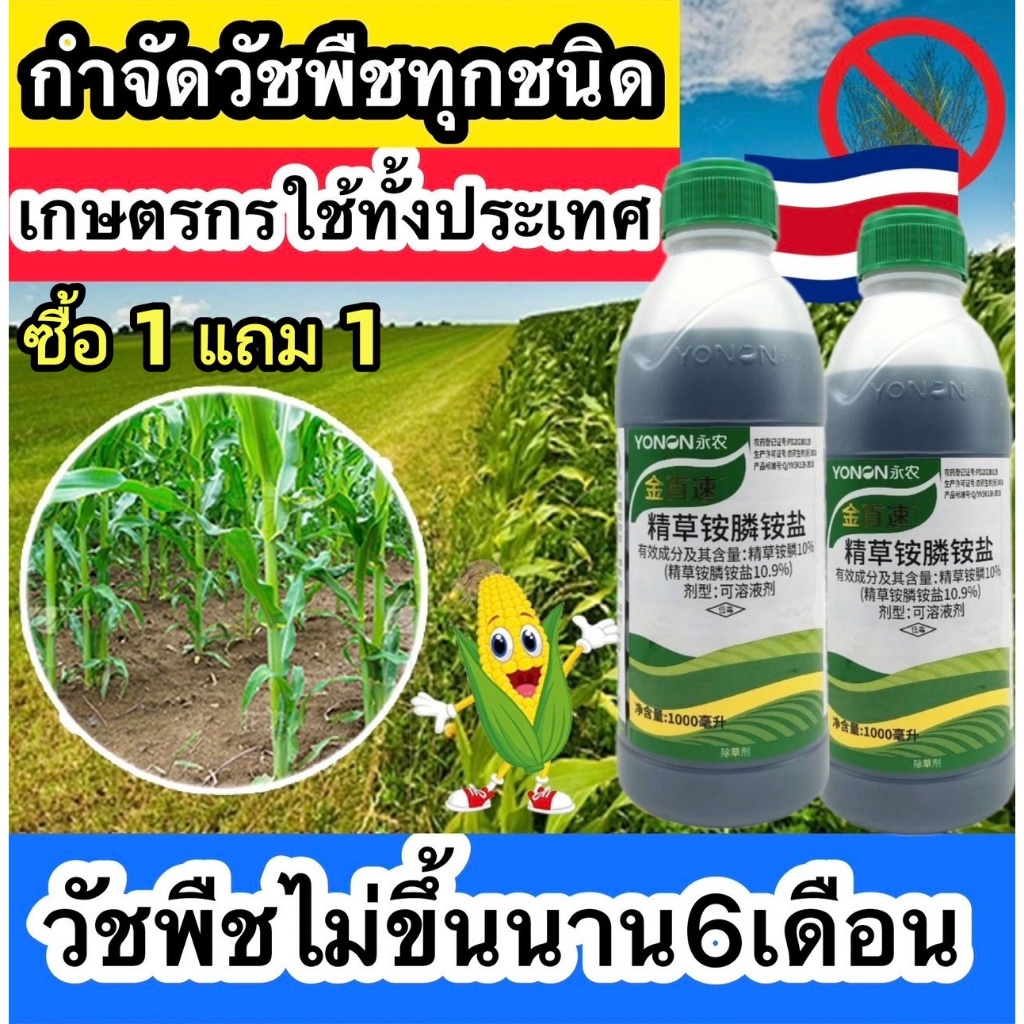 ซื้อ 1 แถม 1 ยากำจัดวัชพืช ยากำจัดหญ้า แบรนด์ HMสูตรเข้มข้น ฆ่าหญ้าร้ายตายเรียบ รากเน่าสนิท ยาฆ่าตอไม้ 100ml