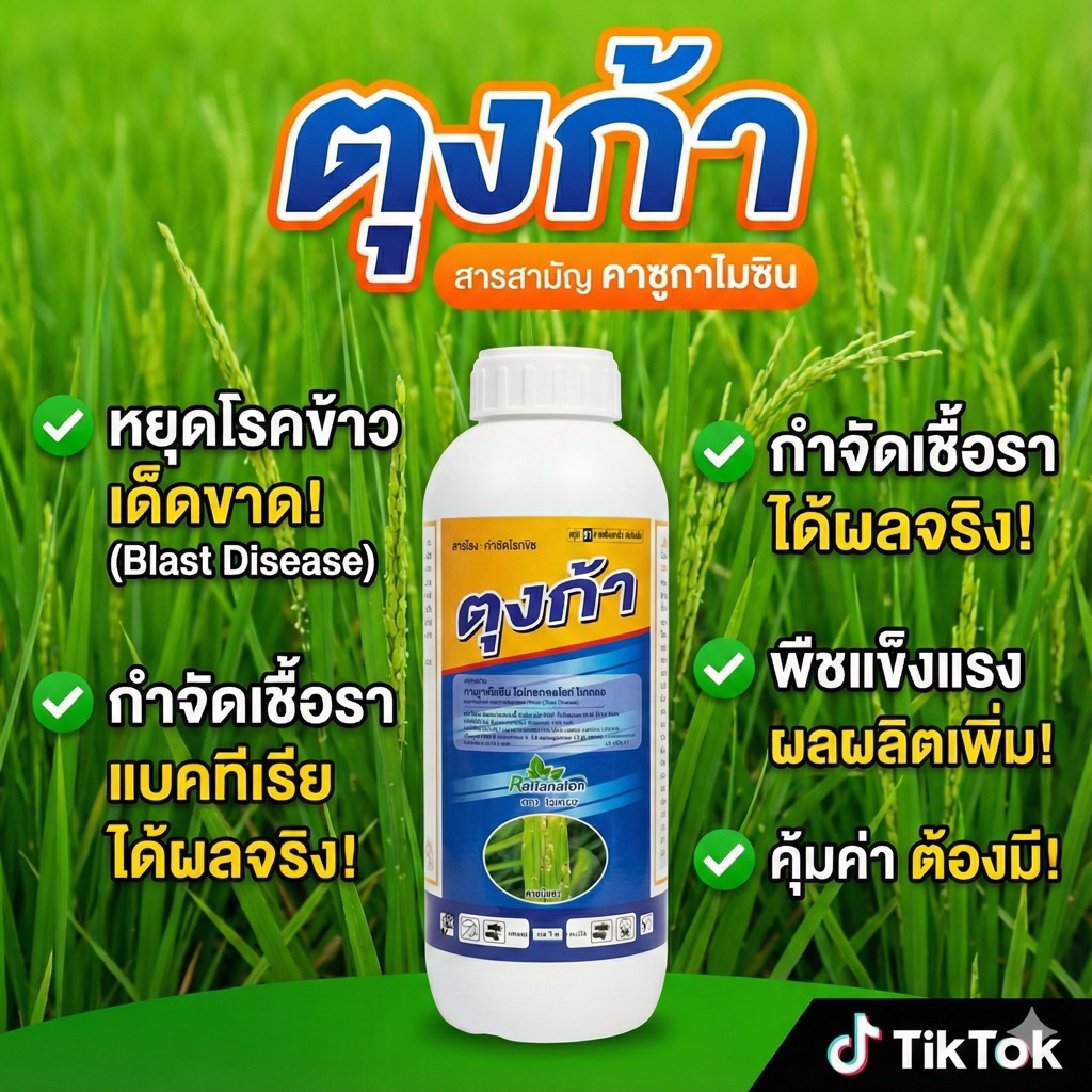 ตุงก้า คาซูกาไมซิน 1 ลิตร ป้องก้านเชื้อรา แบคทีเรียในนาข้าว แคงเกอร์ในมะนาว โรคใบไหม้ ไหม้คอรวง เนื้อยาคุณภาพเข้มข้น