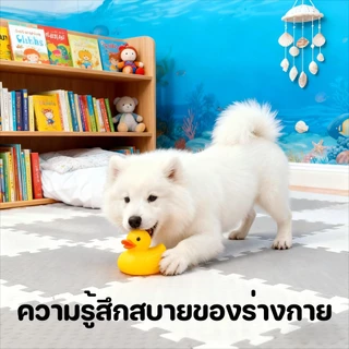 [60 * 60 * 2 ซม.] แผ่นรองพื้นโฟมสำหรับสัตว์เลี้ยงหนาขึ้นแผ่นรองพื้นแบบไม่มีกลิ่นแปลก ๆ รู้สึกสบายและกันน้ำ
