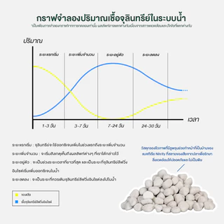 จุลินทรีย์ แบคทีเรีย บ่อปลา ตู้ปลา น้ำใส ลดตะไคร่ ย่อยของเสีย ลดกลิ่น Living Inside