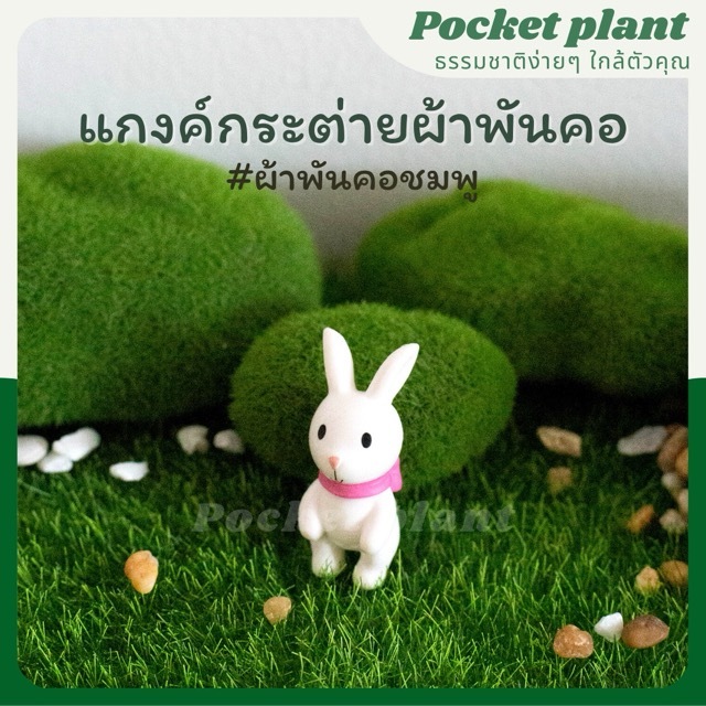 มุมมอง 4