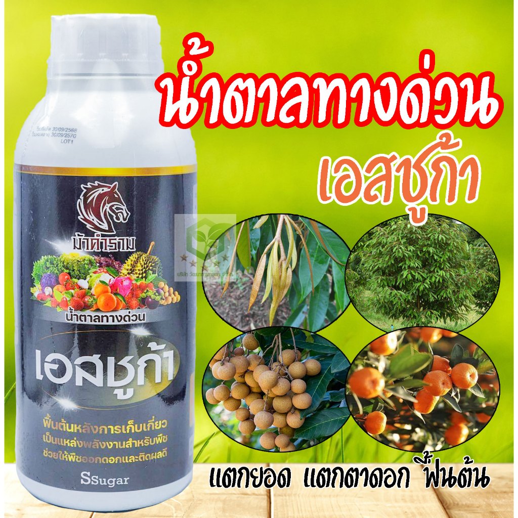 เอสชูก้า ปุ๋ยน้ำ 1ลิตร น้ำตาลทางด่วน ช่วยฟื้นต้นหลังการเก็บเกี่ยว แหล่งพลังงานิ พืชออกดอกและติดผลดี