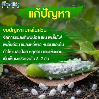 อูเมะไลฟ์ บิวเวอเรีย 100 กรัม กำจัดแมลง ป้องกันแมลงกินใบ ป้องกันใบเหี่ยวจากเพลี้ย กำจัดเพลี้ย