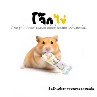 อาหารแฮมเตอร์ ขนม ชูการ์ กะรอก ดอร์เม้าท์ ใจเเอ้นท์ โรโบ เม่น สัตว์ฟันเเทะอื่นๆๆ (กะปุกทดลอง)