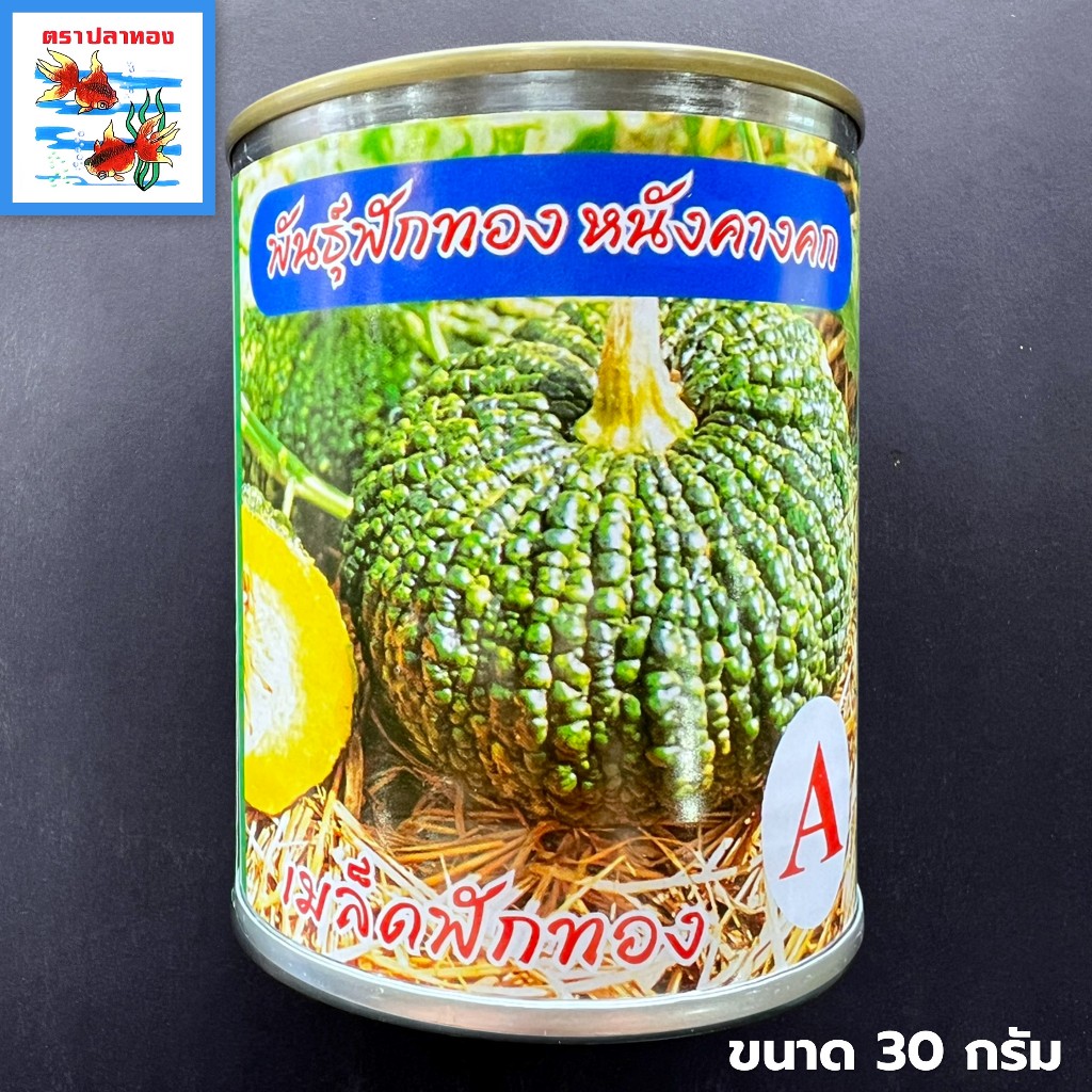 เมล็ดฟักทอง หนังคางคก ลูกใหญ่ เนื้อแน่น กระป๋อง ขนาด 30 กรัม ตราปลาทอง พันธุ์ A