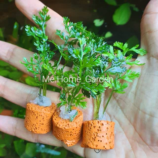 🍃🍃เฟิร์นผักชี 🍃🍃ไม้น้ำหลอดเซรามิกค์1ชุดมี3หลอด