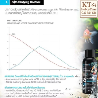 จุลินทรีย์ตู้ปลา 6NATURE Nitrifying + Bacillus 6 สายพันธุ์ น้ำใส ลดกลิ่น ตั้งตู้ปลา ไม้น้ำ กุ้ง